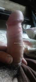Acompanhante Rafael Pinto Gross