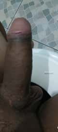 Acompanhante Sueco