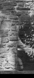 Acompanhante Vitin