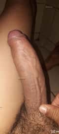 Acompanhante Descubra