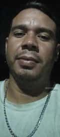 Acompanhante Pereira