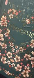 Acompanhante Nick Scret