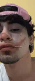 Acompanhante Harry