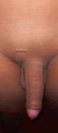 Acompanhante Biell