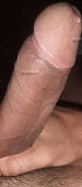 Acompanhante Kevin