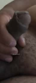 Acompanhante Garreto