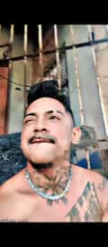 Acompanhante Mr Thiago