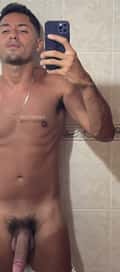 Acompanhante Lobinho