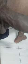Acompanhante Bobnice