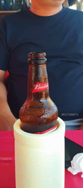 Acompanhante Gustavo