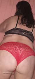 Acompanhante Estrela