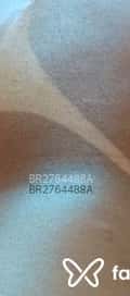 Acompanhante Bruna