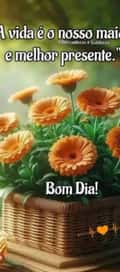 Acompanhante Gil