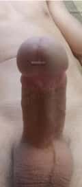 Acompanhante Breno