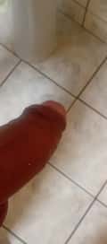Acompanhante Preto Baino