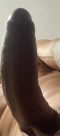 Acompanhante Vn Mr