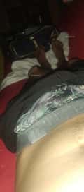 Acompanhante Lucas Junior