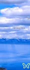 Acompanhante Monica
