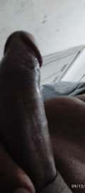 Acompanhante Jpl