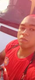 Acompanhante Falcão