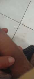 Acompanhante José Wilson