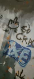 Acompanhante Robson