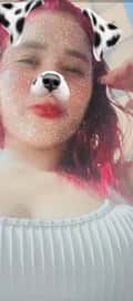 Acompanhante Bebesinha