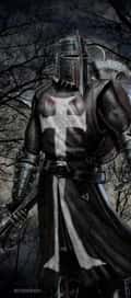 Acompanhante Miguel