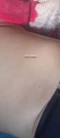 Acompanhante Caca