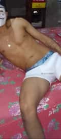 Acompanhante Picasso