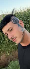 Acompanhante Augusto