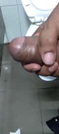 Acompanhante Baiano