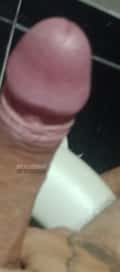 Acompanhante Guilherme