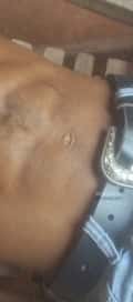 Acompanhante Allanpretotipoa