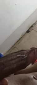 Acompanhante Desconhecidokk