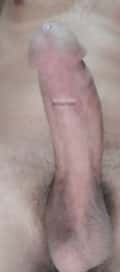 Acompanhante Alemão