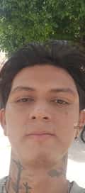 Acompanhante Matos