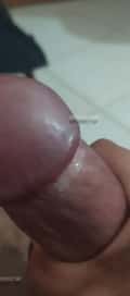 Acompanhante Pretinho