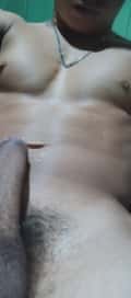 Acompanhante Tico Tico