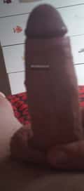 Acompanhante Roberto