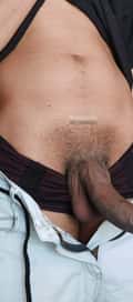 Acompanhante William