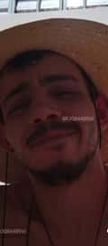 Acompanhante Mecânico