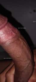 Acompanhante Jose