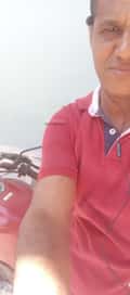 Acompanhante Jorgegp