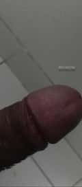 Acompanhante João