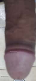 Acompanhante Amaral
