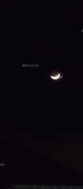 Acompanhante Lua