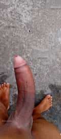 Acompanhante Baiano