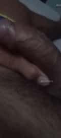 Acompanhante Miguelzinho