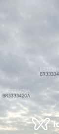 Acompanhante Bbfx